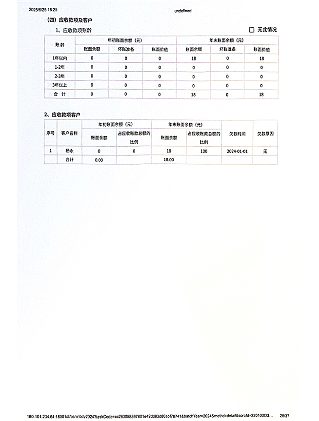 2024年度工作报告_页面_28.jpg
