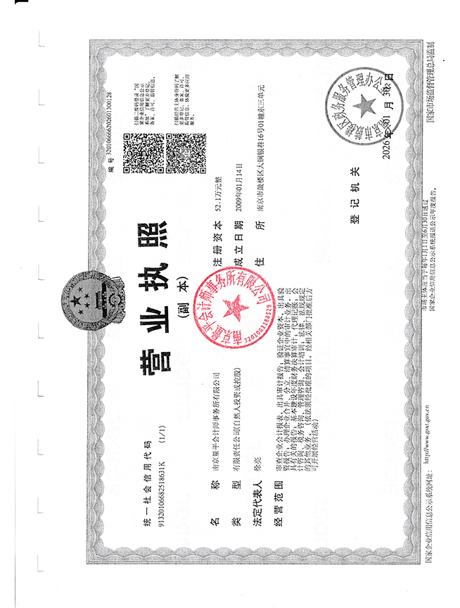 2025年度审计报告_页面_20.jpg